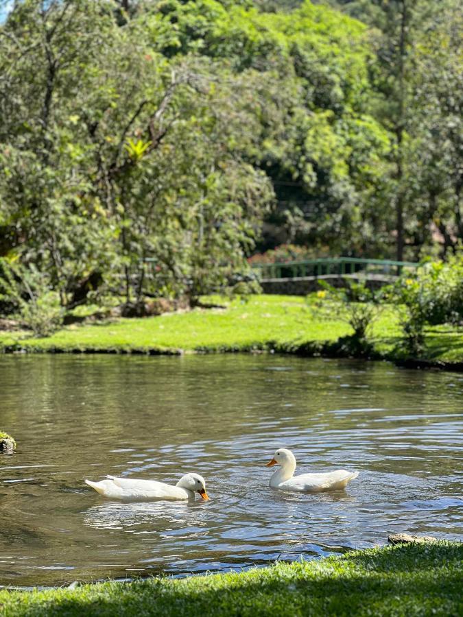 El Valle de Anton La Casa De Los Patos מראה חיצוני תמונה